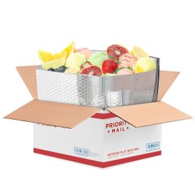 10 Pack Silver Foil Insulated Box Liners 11 x 8.5 x 5.5 inches. Silver Shipping Boxes for Frozen Food