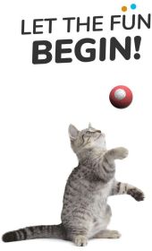 Cat Toys Self-Hi Bore Relief Ball Funny Cat Intelligent Automatic Plush Ball (Color: LIGHT GREY)